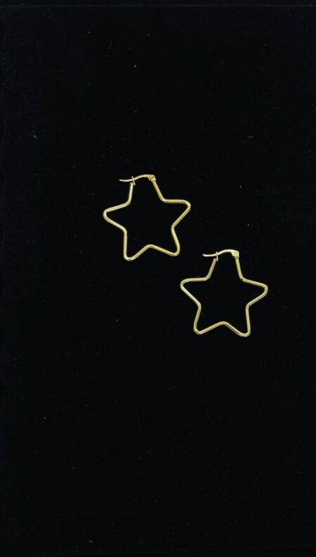 ARETES DE ESTRELLA MS-10