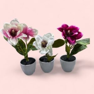 Flor de Magnolia