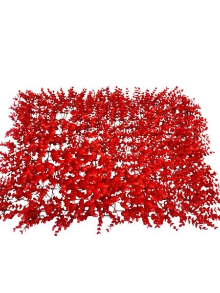 40X60 EUCALIPTO ROJO 8CM