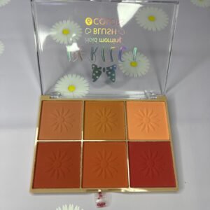 Paleta de rubor compacto de 6 tonos