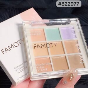 PALETA CORRECTOR MOTY